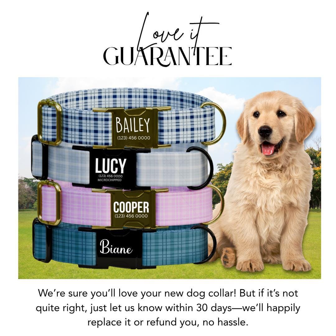 Personalized Gingham Dog Collar with Name Engraved Custom Tag Collar for Pets Collar & Leash Set Stylish Checkered Dog Collar Gift (OG-161)
