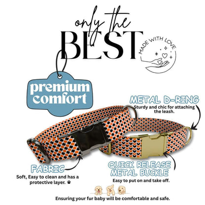 Personalized Spooky-cute Halloween Dog Collar with Name Engraved Cute and Soft Adjustable Collar & Leash Set, Pet ID Tag Dog Gift (OG-134)