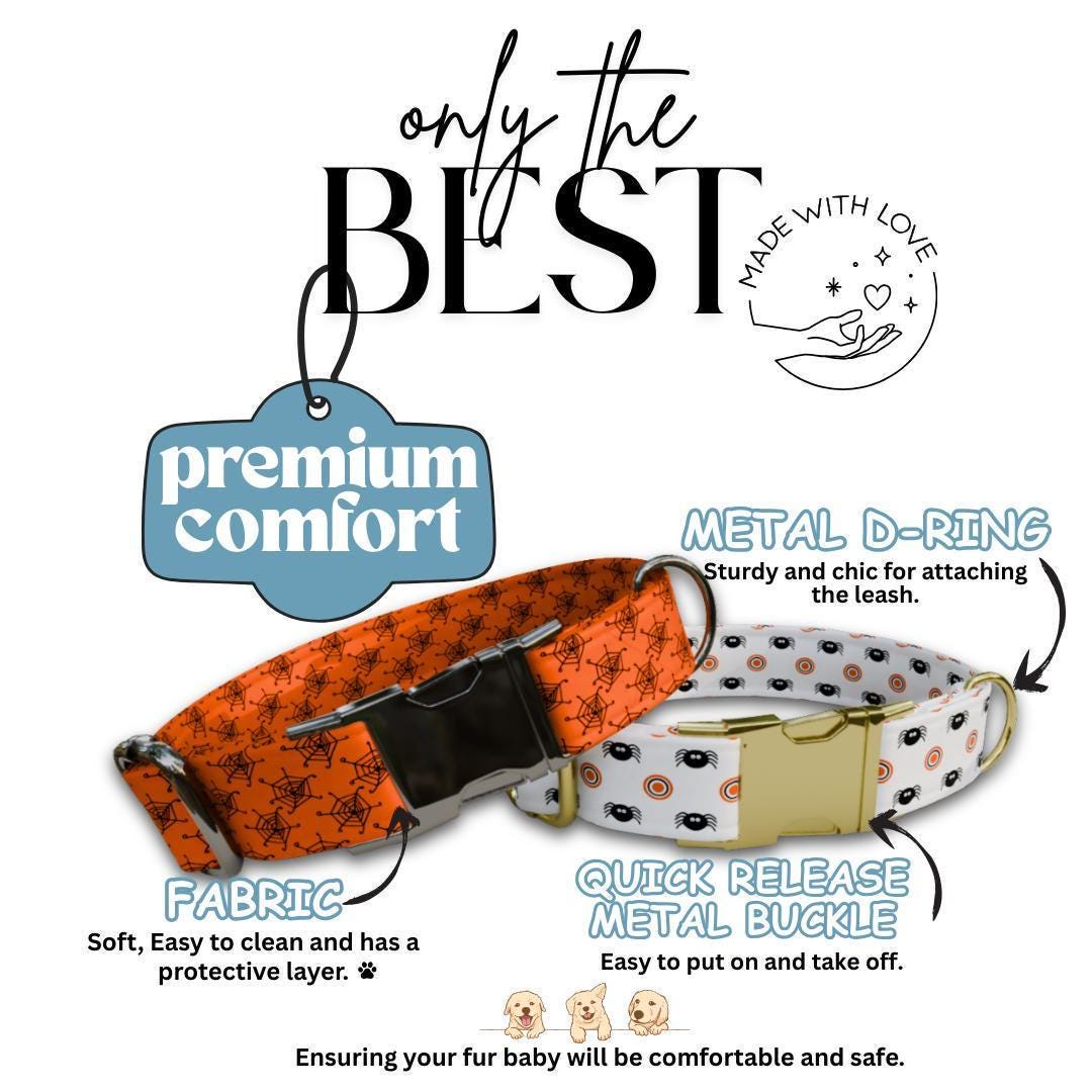 Personalized Spooky-cute Halloween Dog Collar with Name Engraved Cute and Soft Adjustable Collar & Leash Set, Pet ID Tag Dog Gift (OG-136)
