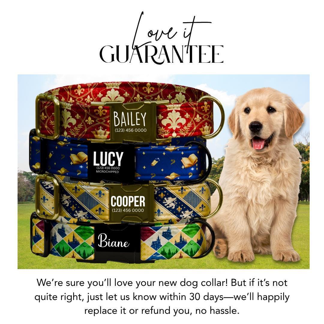Personalized Magical Kingdom Dog Collar with Name Engraved Custom Name Tag Fantasy Royal Themed Dog Collar Cute Gift for Dog Lovers (OG-267)