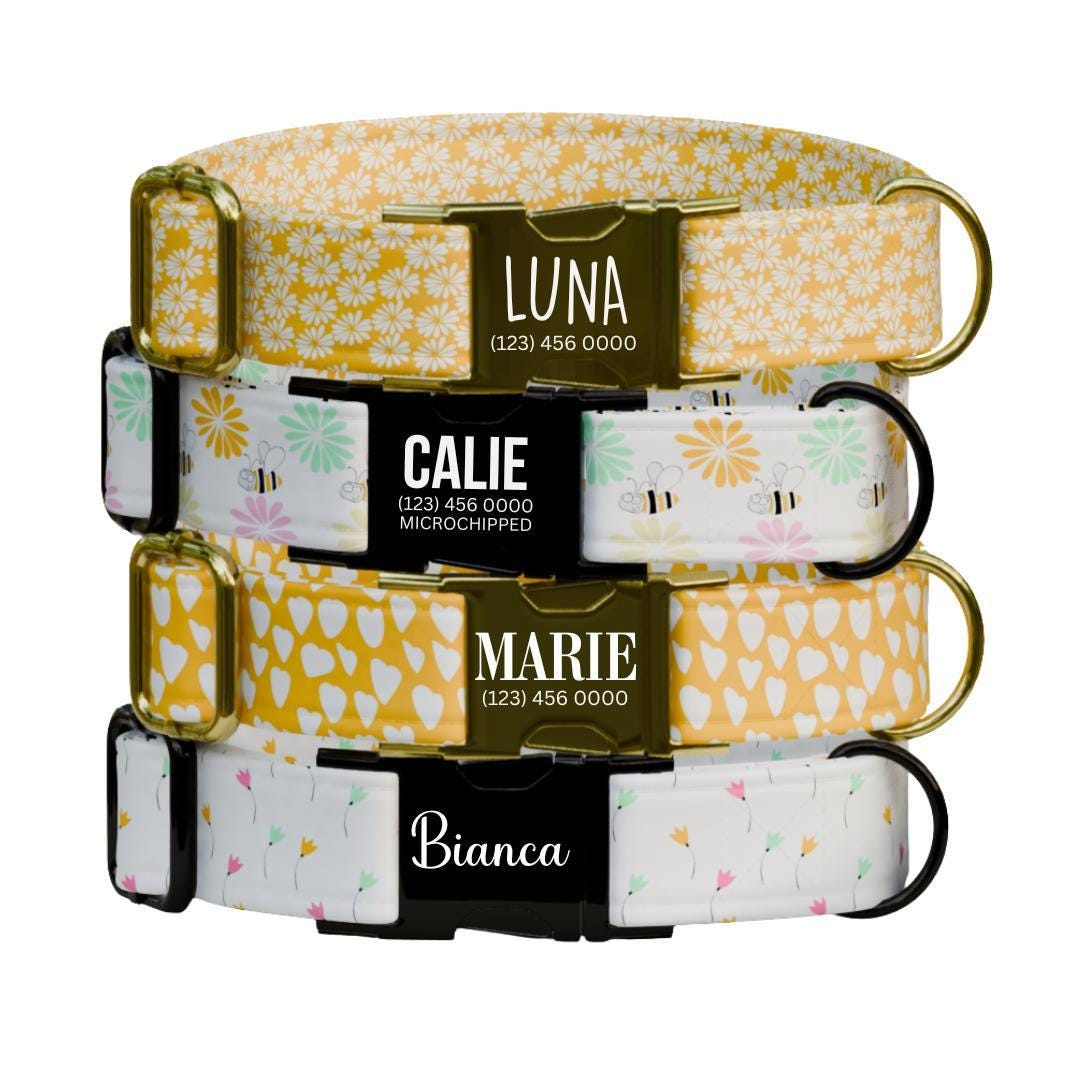 Personalized Dog Collar Dainty Daisies Design with Name Engraved Custom Name Tag Daisy Adjustable Collar & Leash Set Gift for Dog (OG-219)
