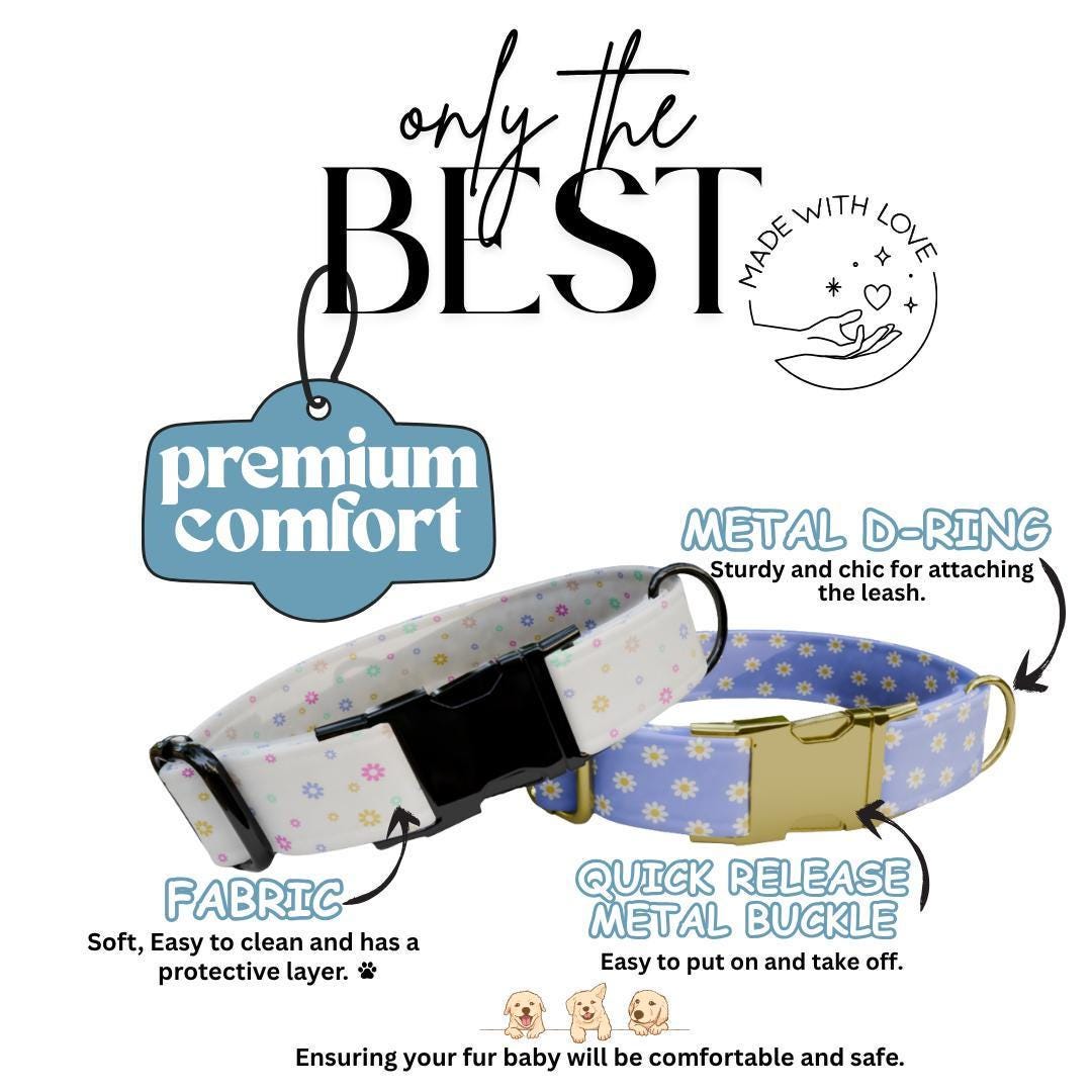 Personalized Pastel Floral Dog Collar for Girls with Name Engraved Cute Flower Name ID Adjustable Collar & Leash Set Gift for Dog (OG-263)