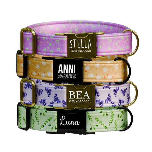 Personalized Floral Dog Collar for Girls with Name Engraved Cute Stylish Flower Print Tag Collar Dogs Adjustable Collar & Leash Set (OG-272)
