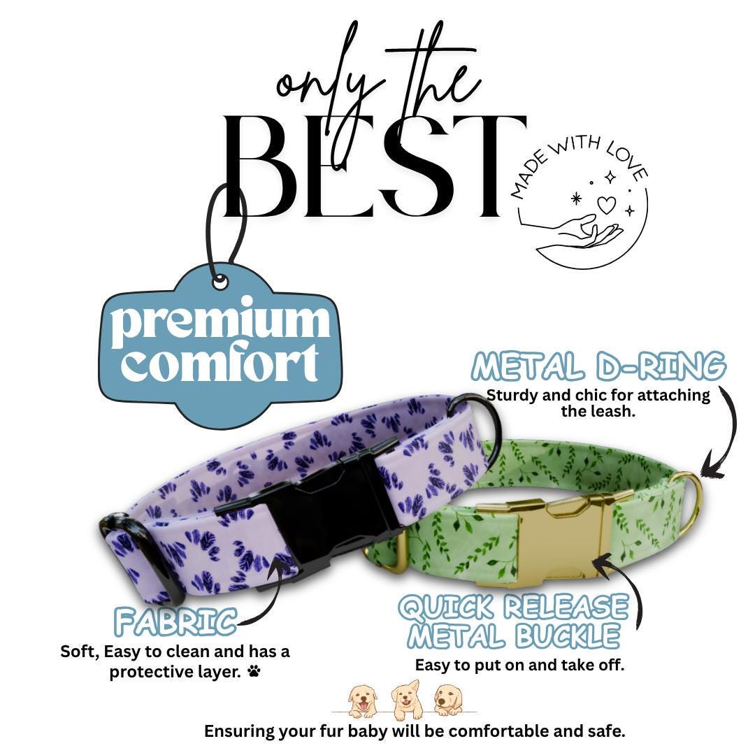 Personalized Floral Dog Collar for Girls with Name Engraved Cute Stylish Flower Print Tag Collar Dogs Adjustable Collar & Leash Set (OG-272)