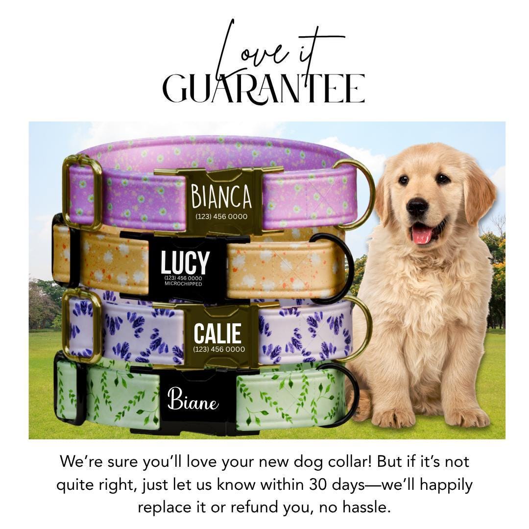 Personalized Floral Dog Collar for Girls with Name Engraved Cute Stylish Flower Print Tag Collar Dogs Adjustable Collar & Leash Set (OG-272)