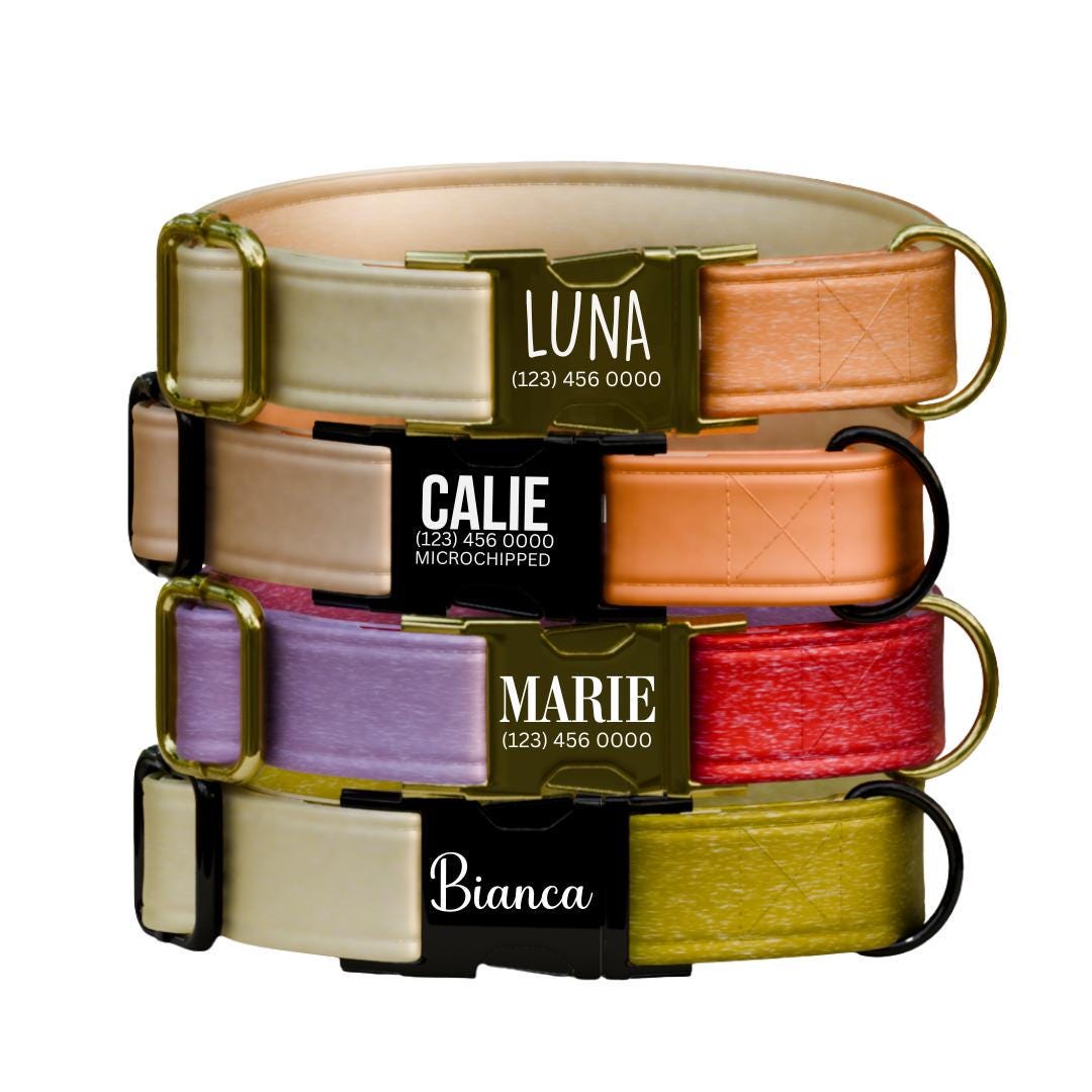 Personalized Ombre Dog Collar with Name Engraved Cute Trendy Ombre Design Tag Collar Dogs Gradient Adjustable Collar & Leash Set (OG-298)