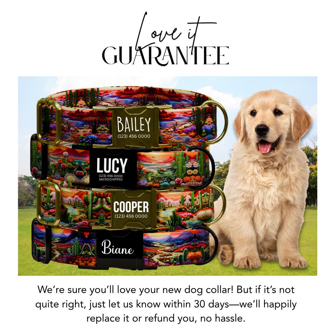 Personalized Desert Vibe Dog Collar with Name Engraved Custom Adjustable Collar Colorful Cactus Dog Collar & Leash Set Gift for Dog (OG-205)
