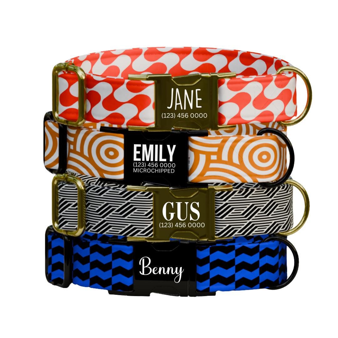 Personalized Pattern Dog Collar with Name Engraved Custom Pet Name ID Collar for Pet Collar & Leash Set Adorable Stylish Dog Collar (OG-195)