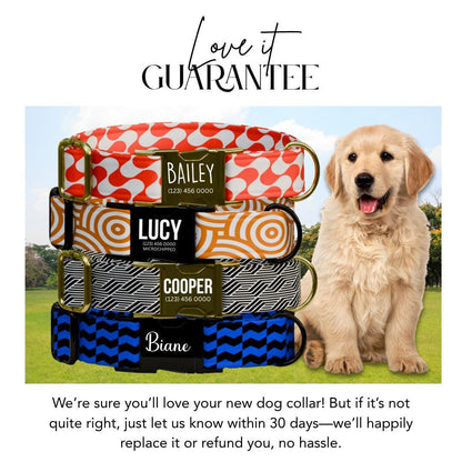 Personalized Pattern Dog Collar with Name Engraved Custom Pet Name ID Collar for Pet Collar & Leash Set Adorable Stylish Dog Collar (OG-195)