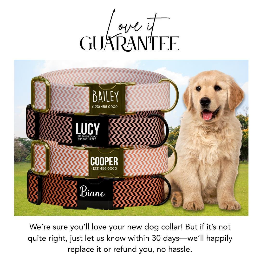Personalized Herringbone Dog Collar with Name Engraved Custom Pet Name ID Collar Secure Collar & Leash Set Dog Name Tag Gift Idea (OG-184)