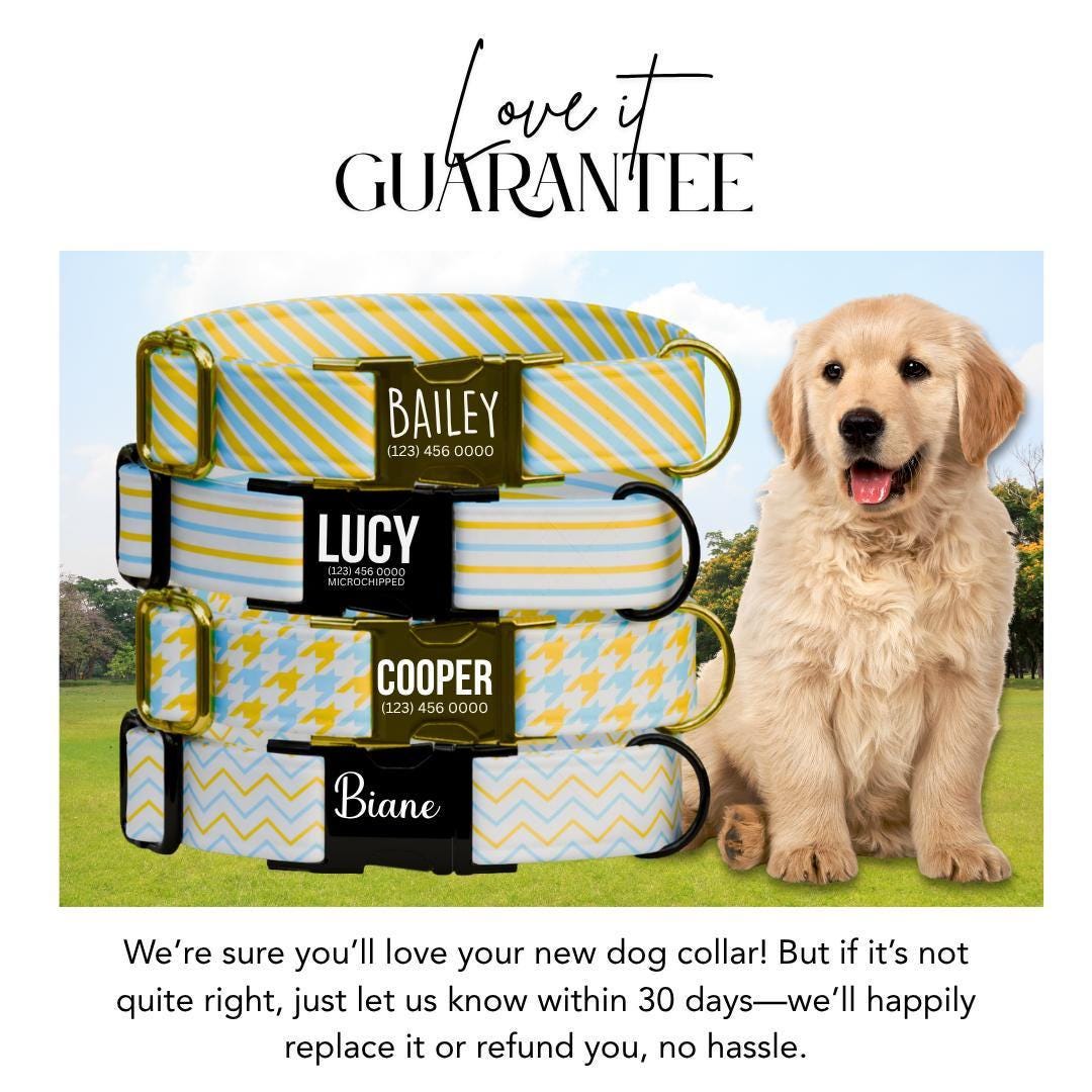 Personalized Pattern Dog Collar with Name Engraved Custom Tag for Dog Collar & Leash Set Cute Striped Dog Collar Gift for Dog Lover (OG-159)