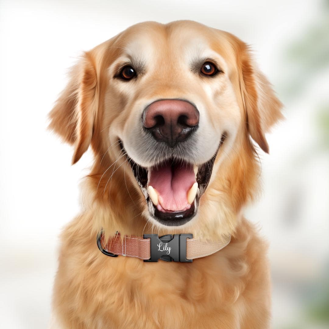 Personalized Ombre Dog Collar with Custom Name Tag Gradient Pet Collar with Quick-Release Adjustable Metal Buckle Gift for Dogs (OG-299)