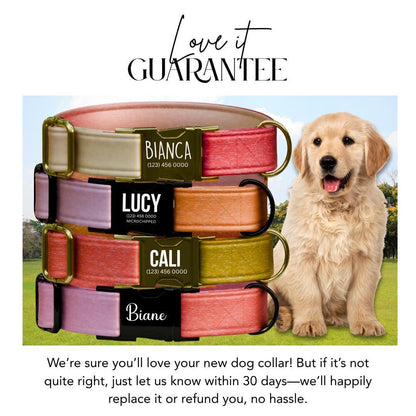 Personalized Ombre Dog Collar with Custom Name Tag Gradient Pet Collar with Quick-Release Adjustable Metal Buckle Gift for Dogs (OG-299)