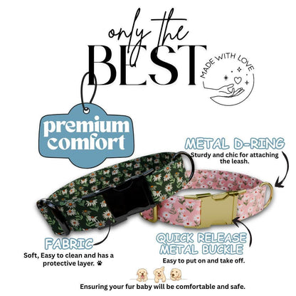Personalized Floral Dog Collar with Name Engraved Cute and Soft Floral Adjustable Collar & Leash Set Stylish Flower Print Dog Gift (OG-165)