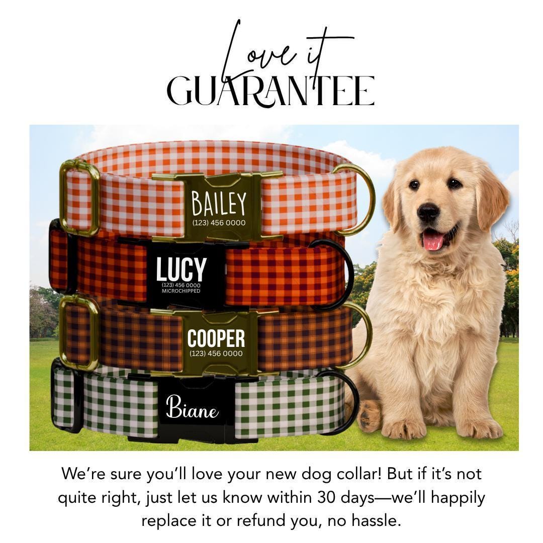 Personalized Gingham Dog Collar with Name Engraved Custom Tag Collar for Pets Collar & Leash Set Stylish Checkered Dog Collar Gift (OG-166)