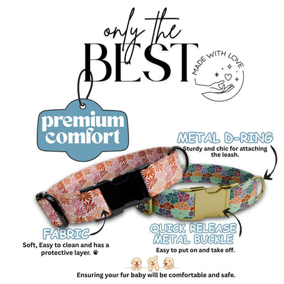 Personalized Floral Dog Collar with Name Engraved Cute and Soft Floral Adjustable Collar & Leash Set Stylish Flower Print Dog Gift (OG-164)