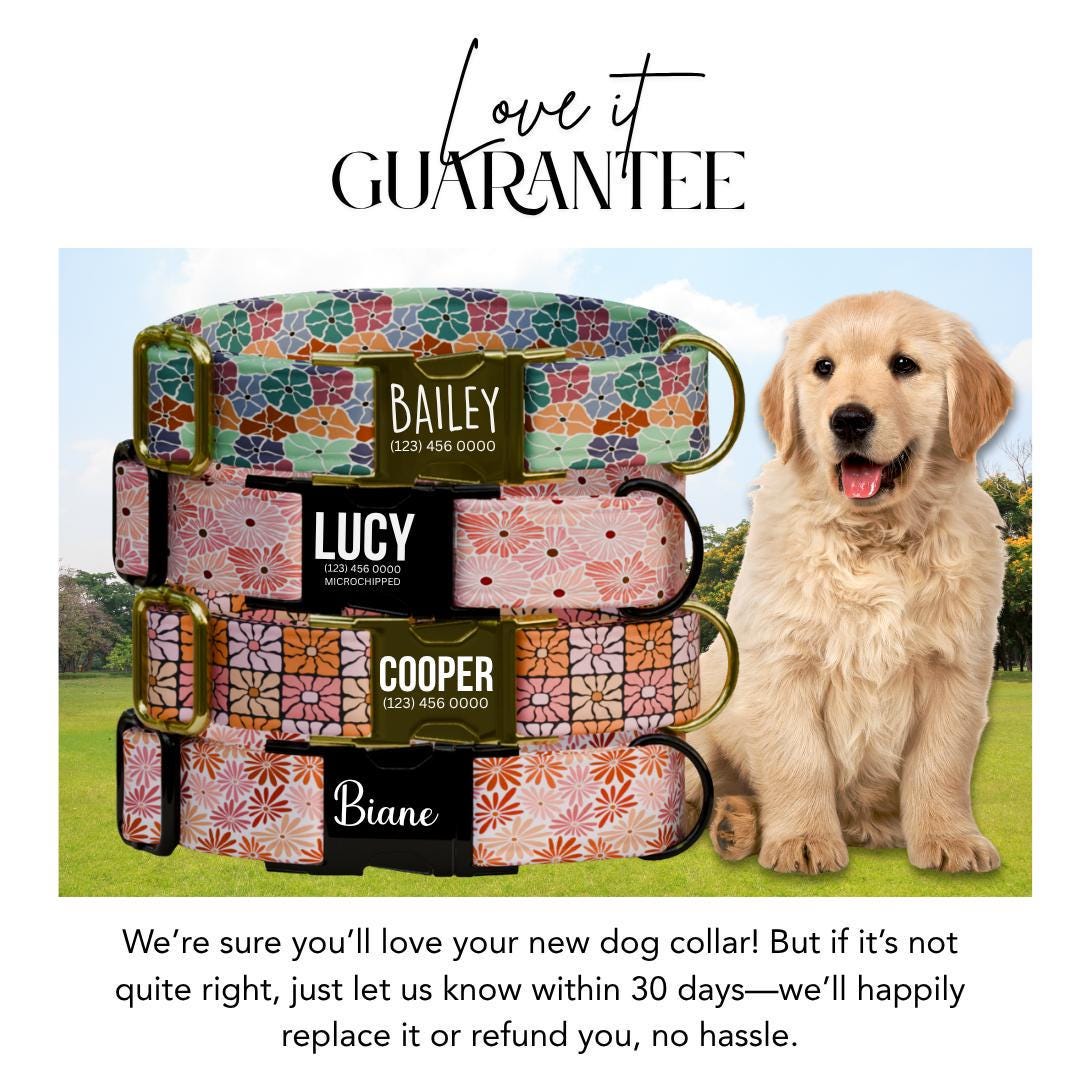 Personalized Floral Dog Collar with Name Engraved Cute and Soft Floral Adjustable Collar & Leash Set Stylish Flower Print Dog Gift (OG-164)