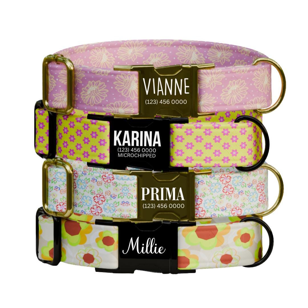 Personalized Floral Dog Collar with Name Engraved Cute and Soft Floral Adjustable Collar & Leash Set Stylish Flower Print Dog Gift (OG-194)