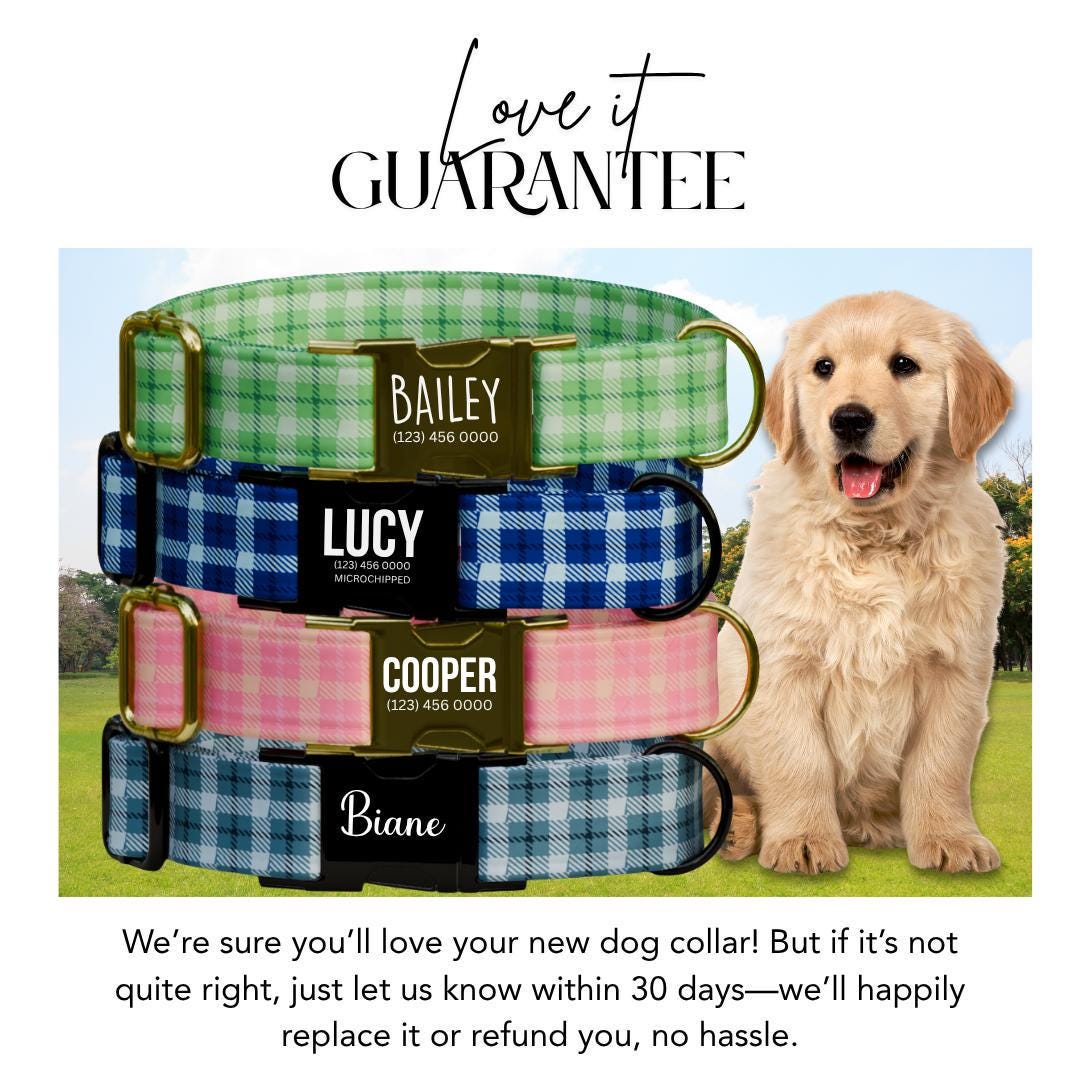 Personalized Gingham Dog Collar with Name Engraved Custom Tag Collar for Pets Collar & Leash Set Stylish Checkered Dog Collar Gift (OG-171)