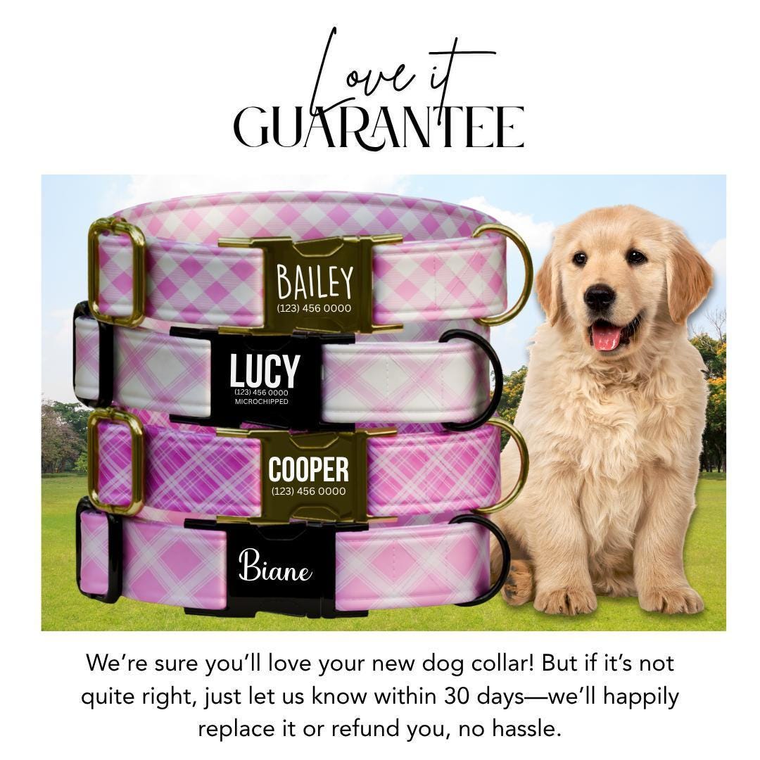 Personalized Pretty in Pink Plaid Dog Collar Custom Name Tag Pink Plaid Dog Collar with Metal Buckle & Adjustable Fit Dog ID Tag (OG-294)