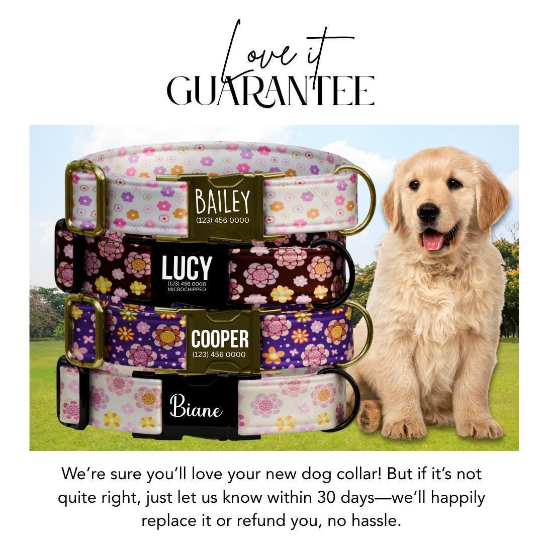 Personalized Floral Dog Collar for Girls with Name Engraved Cute Stylish Flower Print Tag Collar Dogs Adjustable Collar & Leash Set (OG-296)
