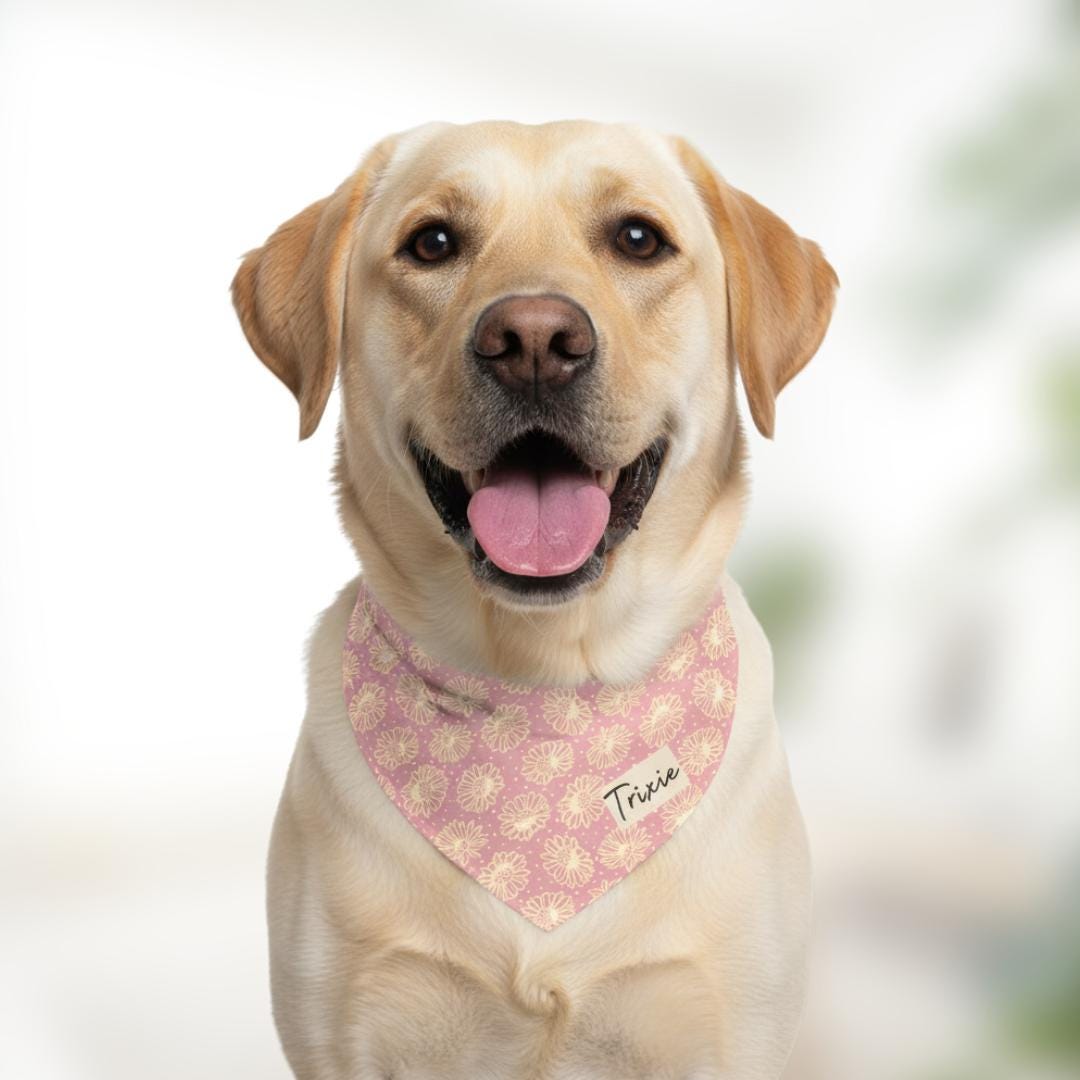 Personalized Daisy Pet Bandana Collar Custom Name Dog Bandana Adjustable Built-In Collar for Dogs & Cats Pink Classy Floral Pet Accessory