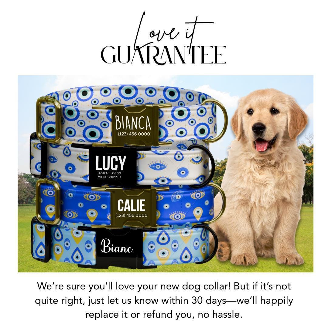 Personalized Evil Eye Dog Collar Custom Name ID Tag Stylish Protection Design Adjustable Quick Release Collar Perfect Gift for Dogs (OG-250)