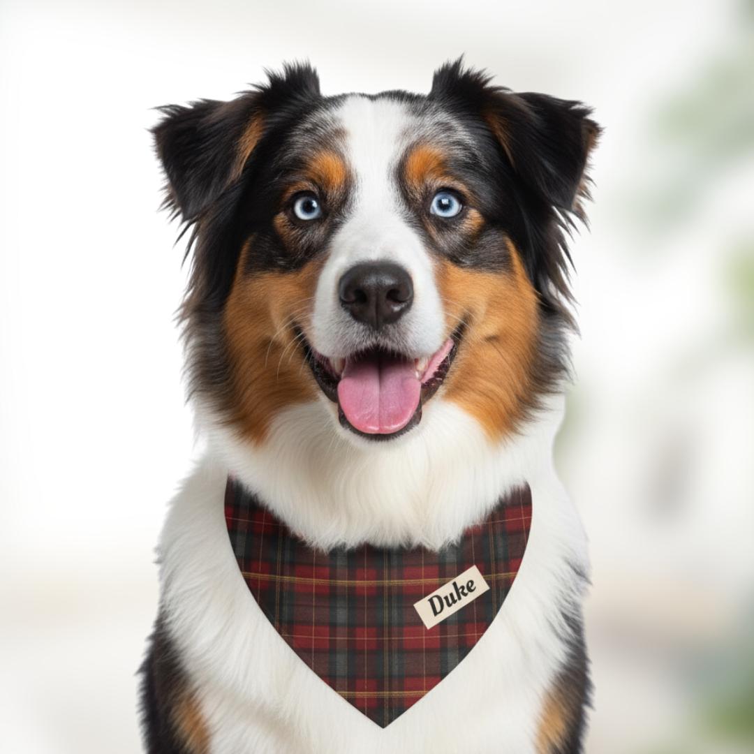 Personalized Christmas Plaid Pet Bandana with Built-in Collar Custom Dog Cat Scarf Accessory Soft Polyester Bandana for Walks & Photoshoots