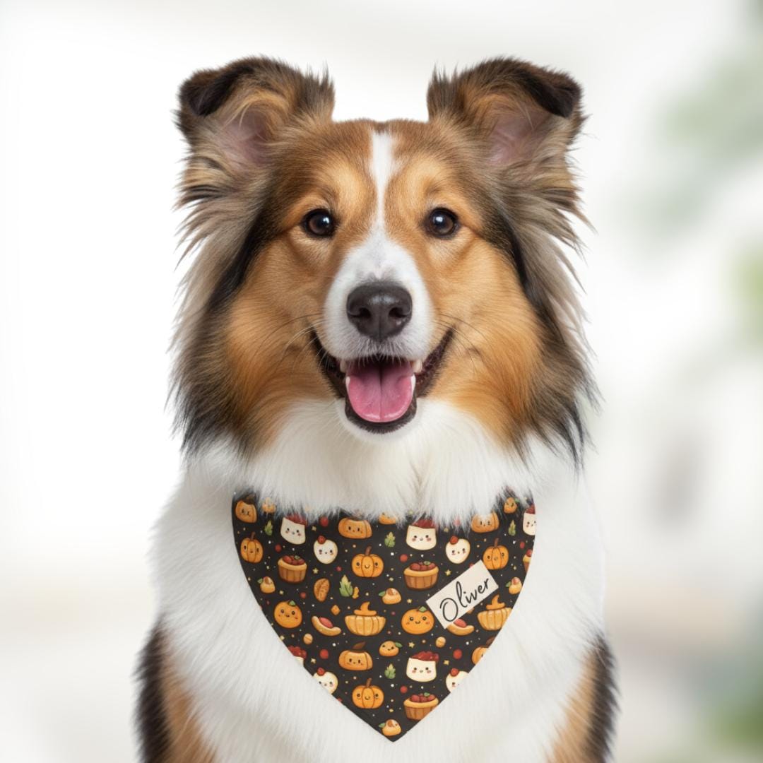 Personalized Dog & Cat Bandana with Built-In Adjustable Collar Custom Name Pet Accessory for Autumn Cute Thanksgiving Pet Bandana Collar