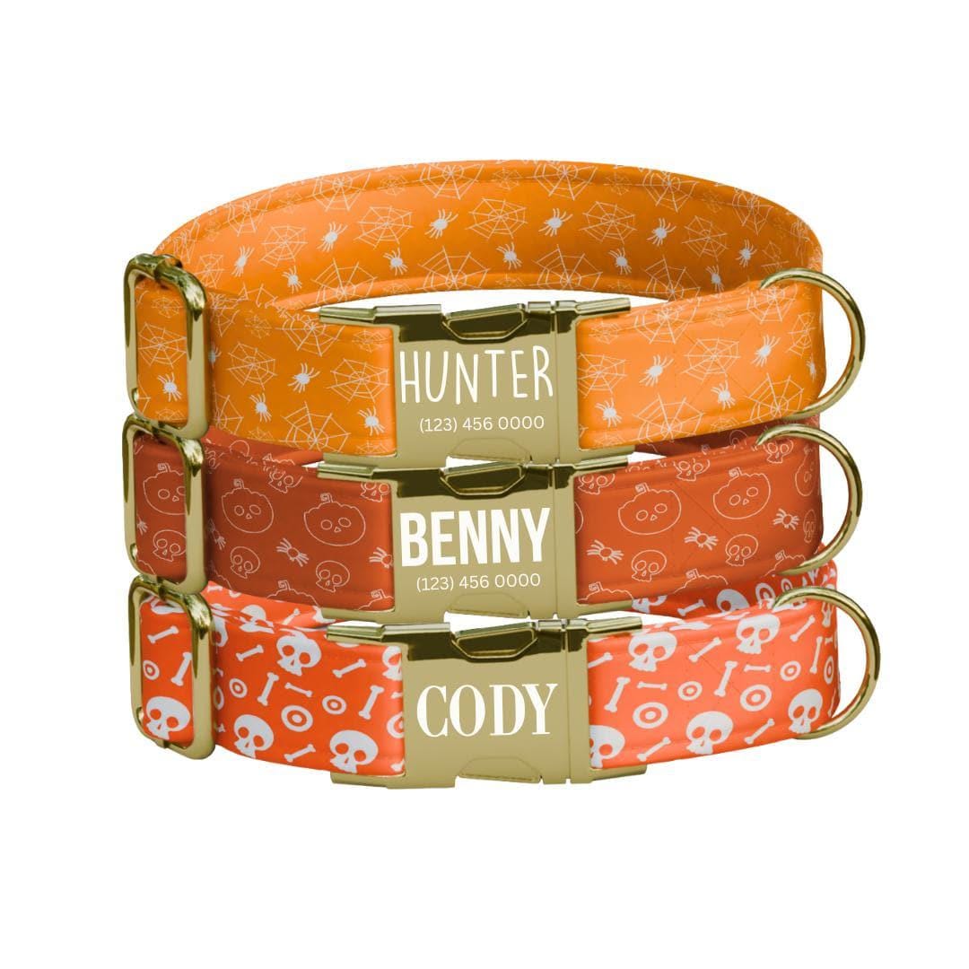 Personalized Spooky Vibes Halloween Dog Collar with Name Engraved Cute and Soft Adjustable Collar & Leash Set, Pet ID Tag Dog Gift (OG-139)