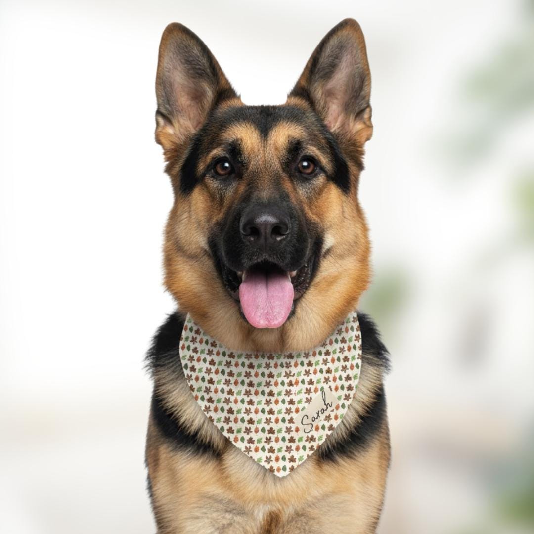 Autumn Leaves Pet Bandana with Built-In Collar Personalized Dog and Cat Bandana  Fall Pet Accessory Adjustable and Cozy Gift Bandana Collar