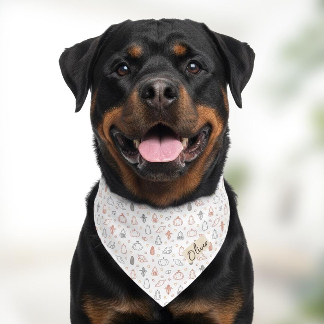Personalized Fall Harvest Pet Bandana Built-In Collar Custom Dog & Cat Thanksgiving Bandana Adjustable Collar with Name Autumn Pet Accessory