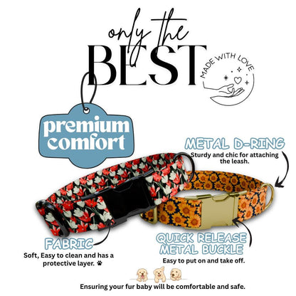 Personalized Floral Dog Collar for Girls with Name Engraved Cute Bright Flower Name ID Adjustable Collar & Leash Set Gift for Dog (OG-208)