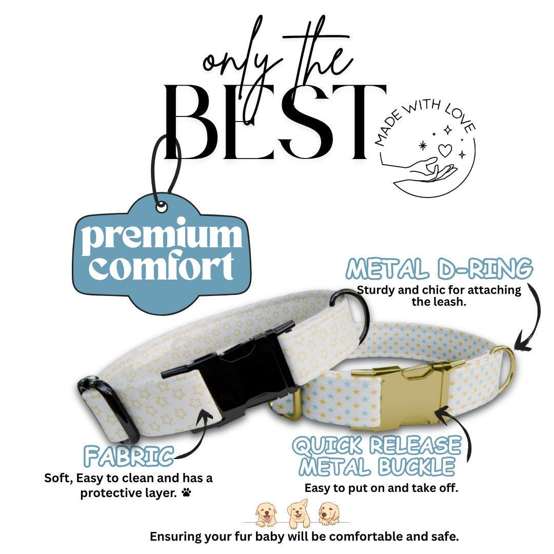 Personalized Starry Dog Collar with Name Engraved Custom Tag Collar for Pets Collar & Leash Set Star Dog Collar Gift for Dog Lovers (OG-158)