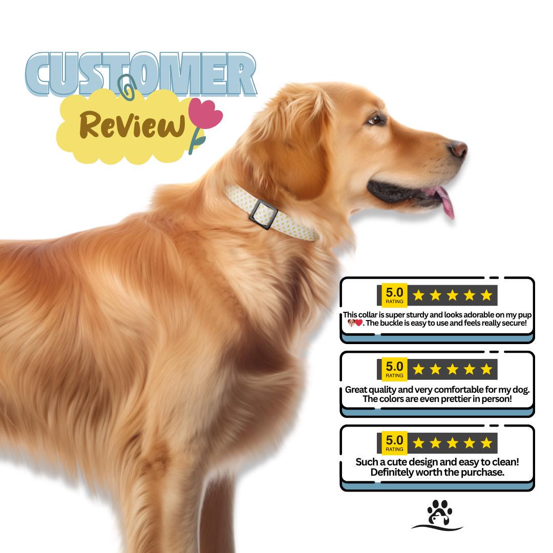 Personalized Starry Dog Collar with Name Engraved Custom Tag Collar for Pets Collar & Leash Set Star Dog Collar Gift for Dog Lovers (OG-158)