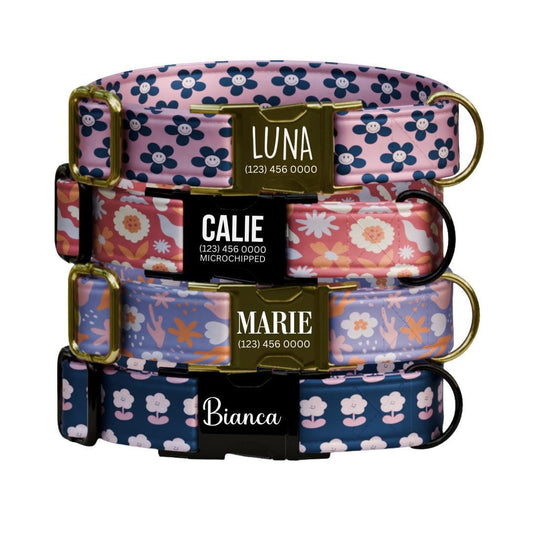 Personalized Groovy Blooms Dog Collar with Name Engraved Cute 70s Flower Design Name ID Adjustable Collar & Leash Set Gift for Dog (OG-254)