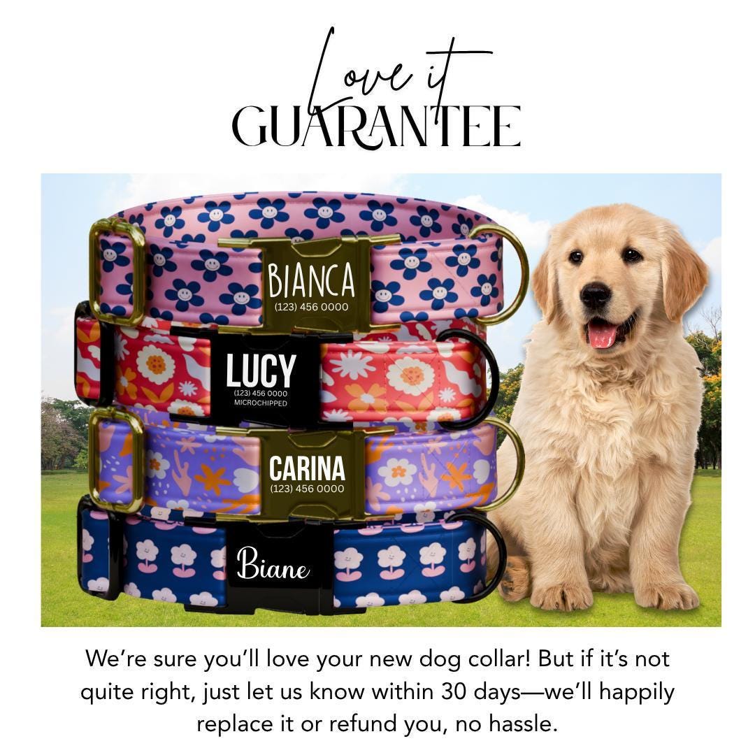 Personalized Groovy Blooms Dog Collar with Name Engraved Cute 70s Flower Design Name ID Adjustable Collar & Leash Set Gift for Dog (OG-254)