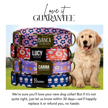 Personalized Groovy Blooms Dog Collar with Name Engraved Cute 70s Flower Design Name ID Adjustable Collar & Leash Set Gift for Dog (OG-254)