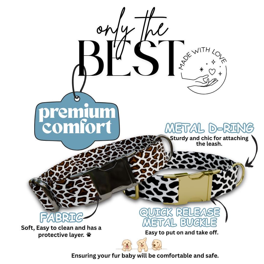 Personalized Halloween Dog Collar with Name Engraved Cute and Soft Fall Adjustable Collar & Leash Set Black or Gold Buckle Dog Gift (OG-146)