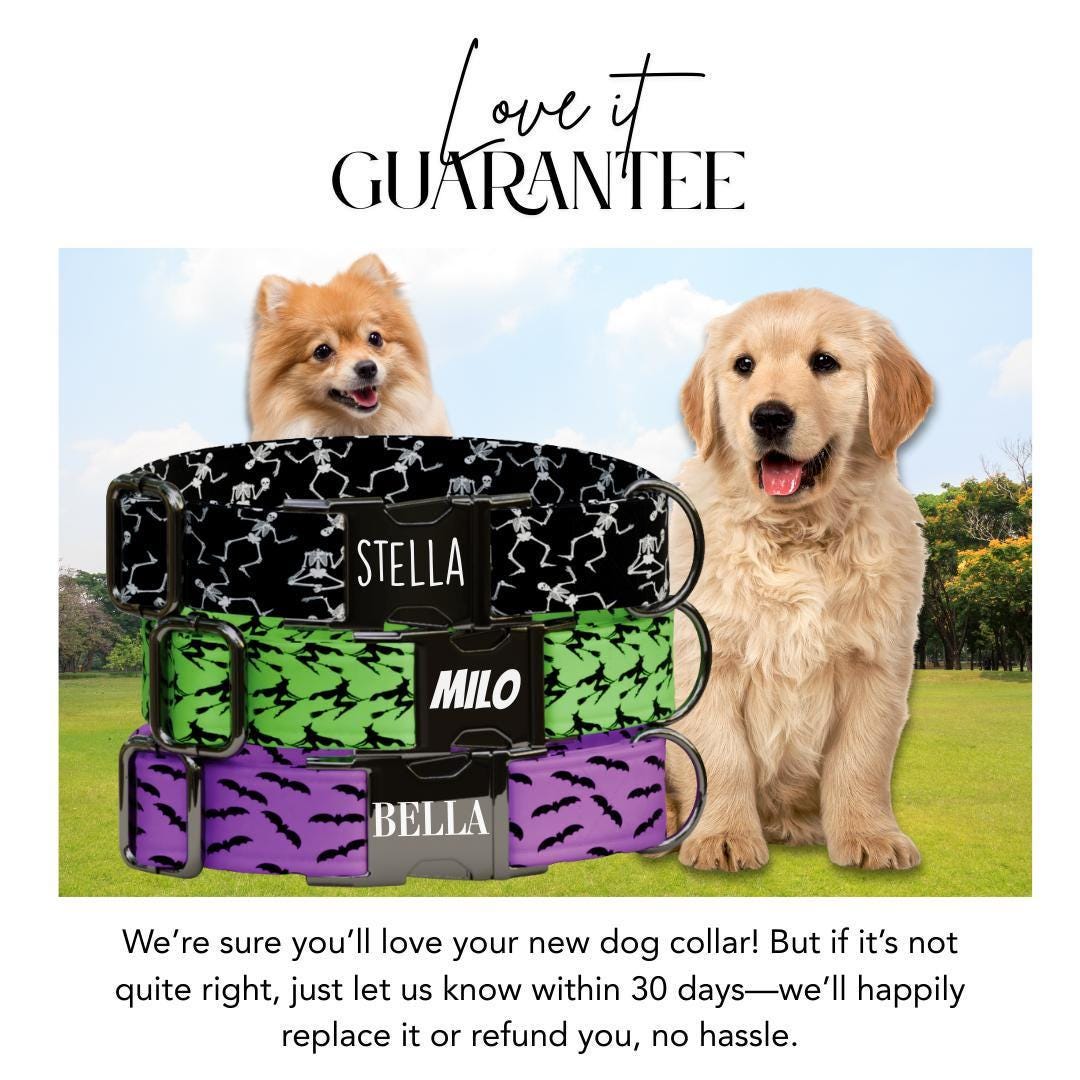 Personalized Halloween Dog Collar with Name Engraved Cute and Soft Fall Adjustable Collar & Leash Set Black or Gold Buckle Dog Gift (OG-146)