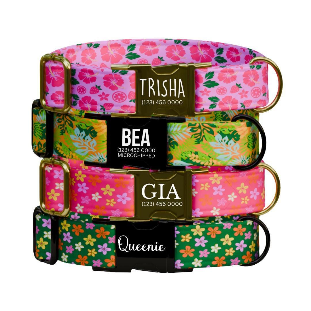 Personalized Pink Floral Dog Collar for Girls with Name Engraved Cute and Soft Floral Adjustable Collar & Leash Set Flower Dog Gift (OG-200)