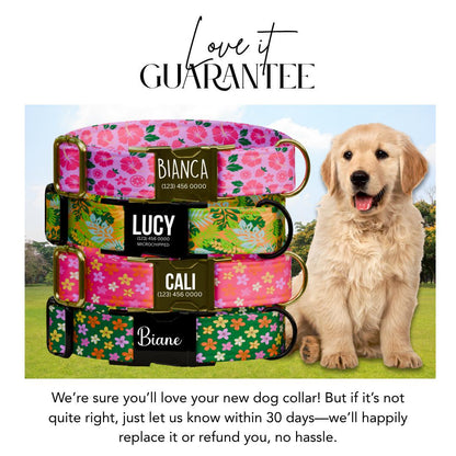 Personalized Pink Floral Dog Collar for Girls with Name Engraved Cute and Soft Floral Adjustable Collar & Leash Set Flower Dog Gift (OG-200)