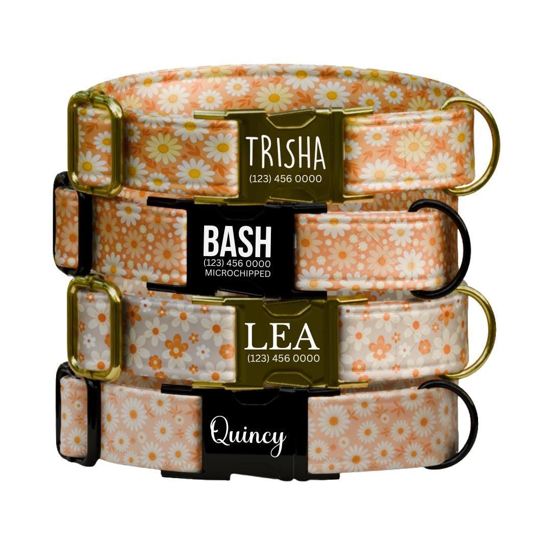 Personalized Orange Daisy Dog Collar for Girls with Name Engraved Cute Floral Name ID Adjustable Collar & Leash Set Gift for Dog (OG-262)