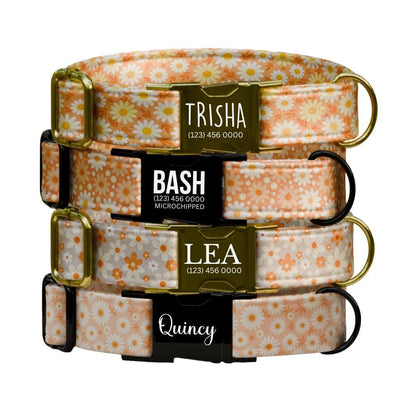Personalized Orange Daisy Dog Collar for Girls with Name Engraved Cute Floral Name ID Adjustable Collar & Leash Set Gift for Dog (OG-262)