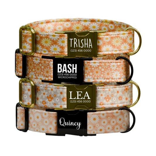 Personalized Orange Daisy Dog Collar for Girls with Name Engraved Cute Floral Name ID Adjustable Collar & Leash Set Gift for Dog (OG-262)