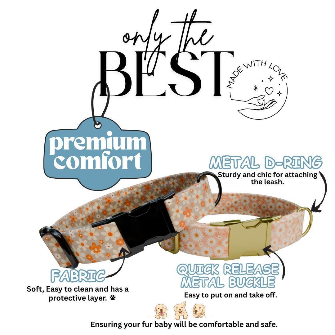 Personalized Orange Daisy Dog Collar for Girls with Name Engraved Cute Floral Name ID Adjustable Collar & Leash Set Gift for Dog (OG-262)