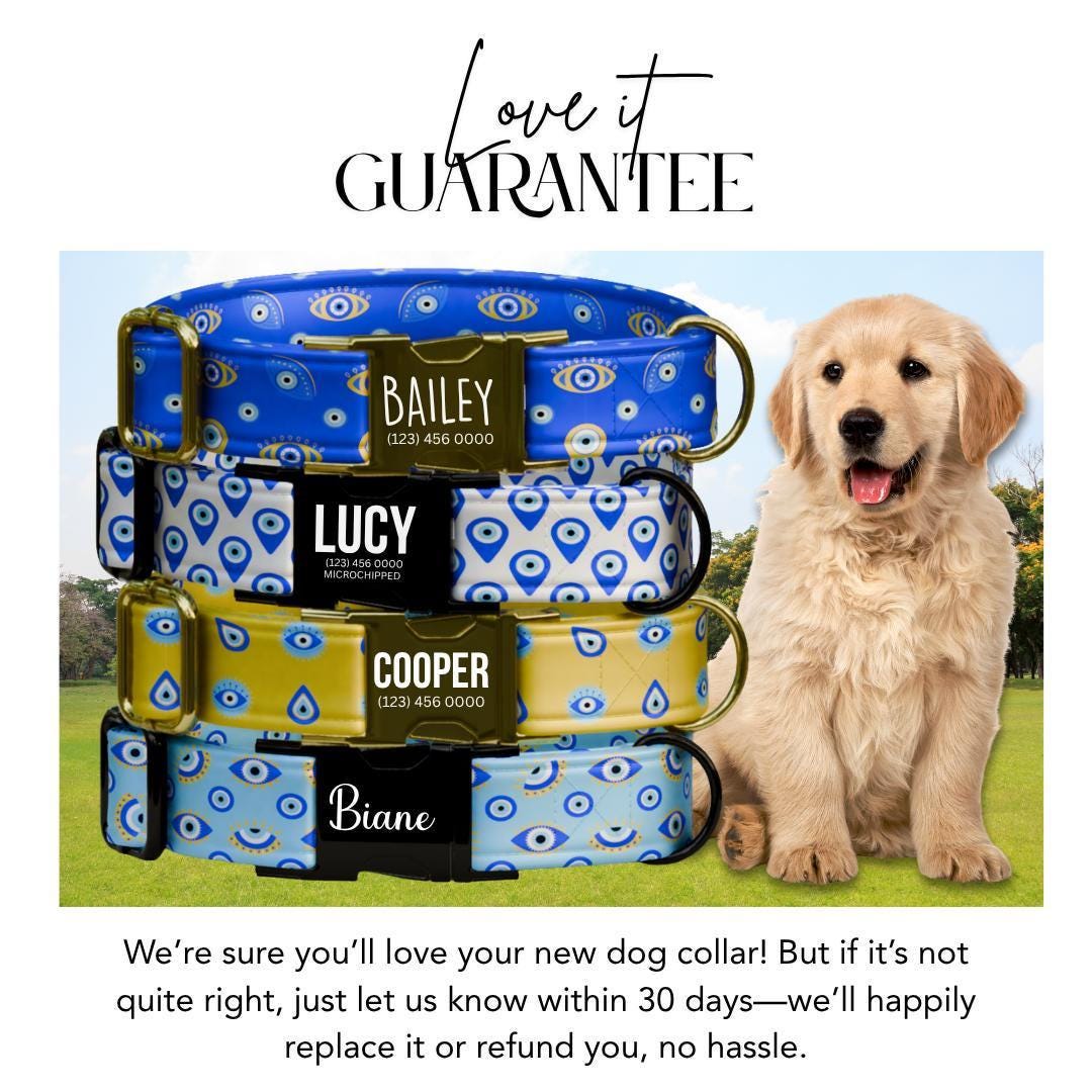 Personalized Evil Eye Dog Collar Custom Name ID Tag Stylish Protection Design Adjustable Quick Release Collar Perfect Gift for Dogs (OG-249)