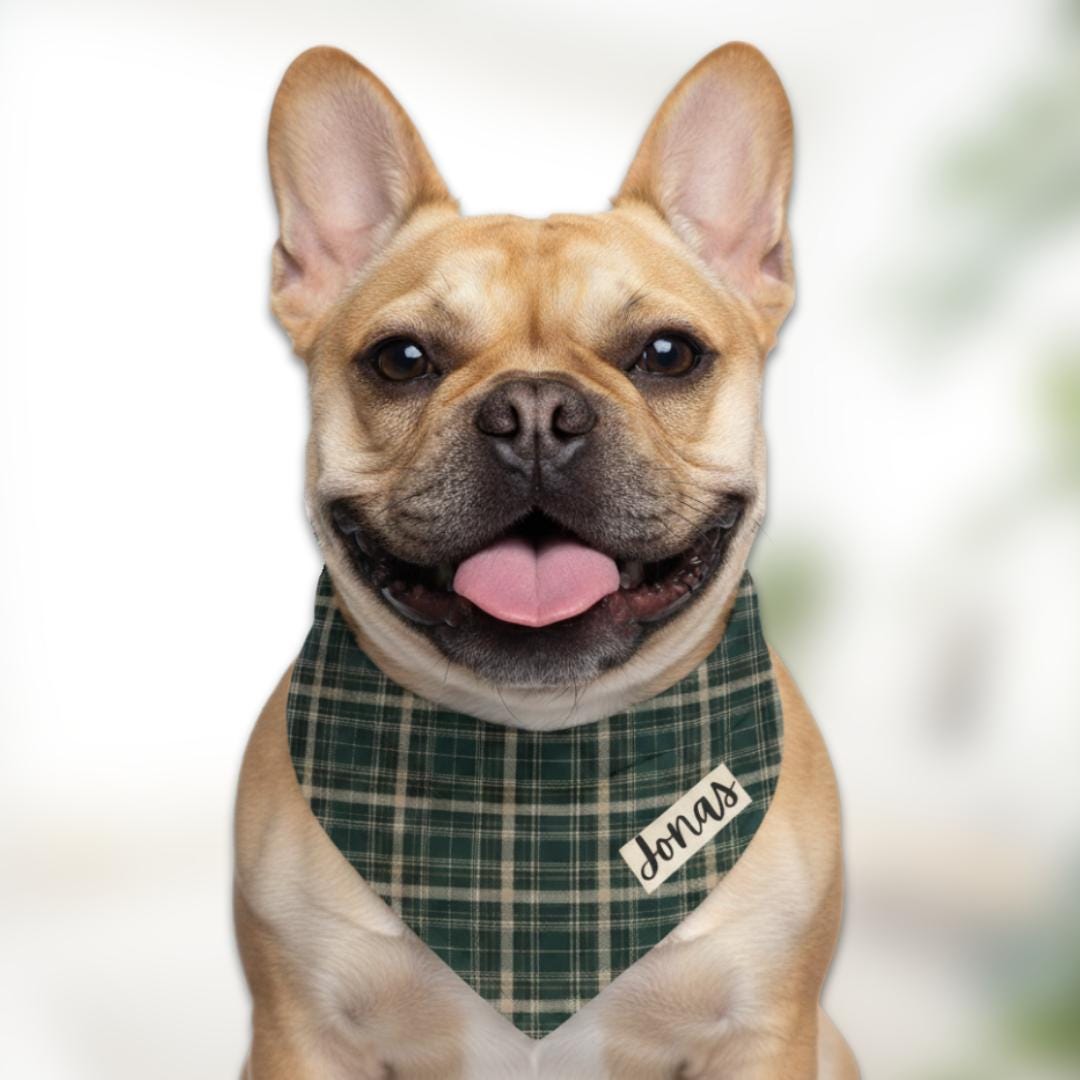 Personalized Green and Red Plaid Pet Bandana Built-In Collar Custom Dog Bandana Classic Tartan Dog Scarf for Christmas & Everyday Wear