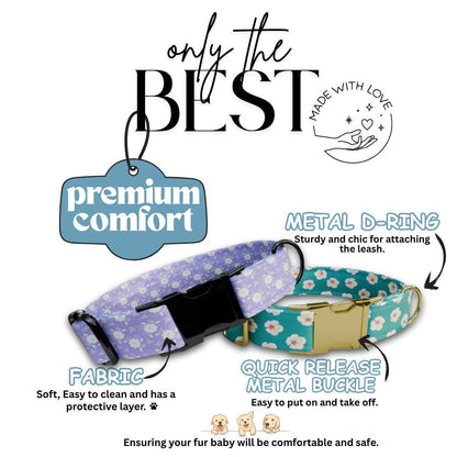 Personalized Floral Dog Collar with Name Engraved Cute and Soft Floral Adjustable Collar & Leash Set Stylish Flower Print Dog Gift (OG-196)