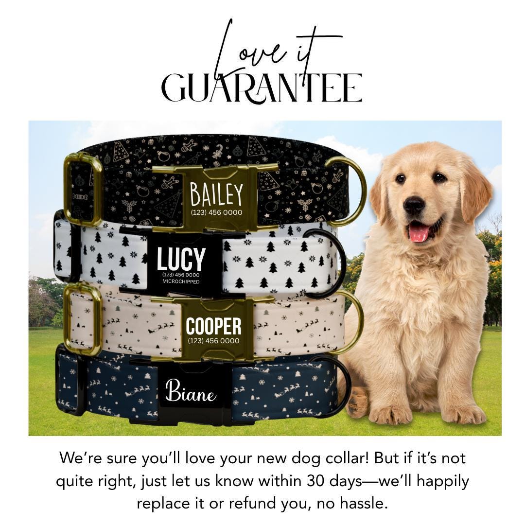 Personalized Christmas Dog Collar Custom Name Pet Collar with Engraved Buckle Holiday Dog Gift Cute Winter Patterns Gift for Dogs (OG-229)